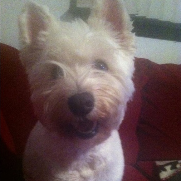 I’m BACK!!! - Picture 9 of 14